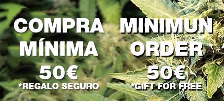 comprar semillas de marihuana buy cannabis seeds