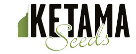 KETAMA SEEDS